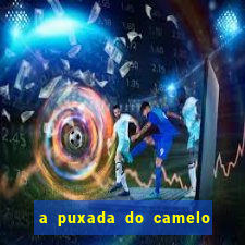 a puxada do camelo no jogo do bicho